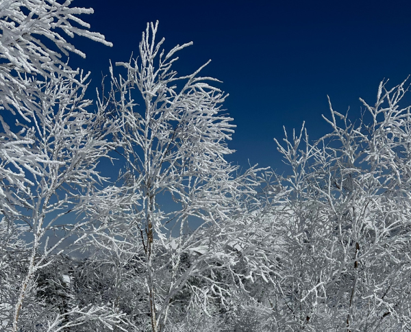 親の狂気か、子の才能か。